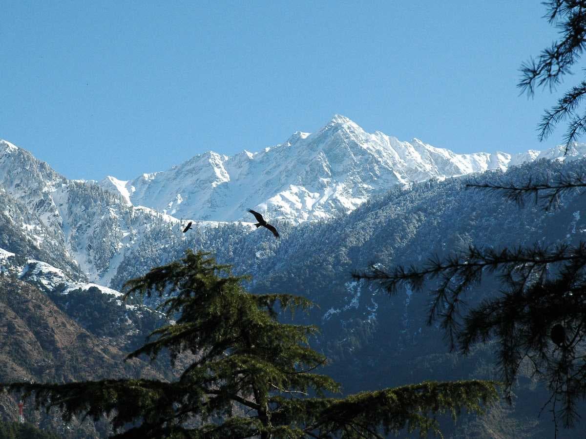 Mcleodganj