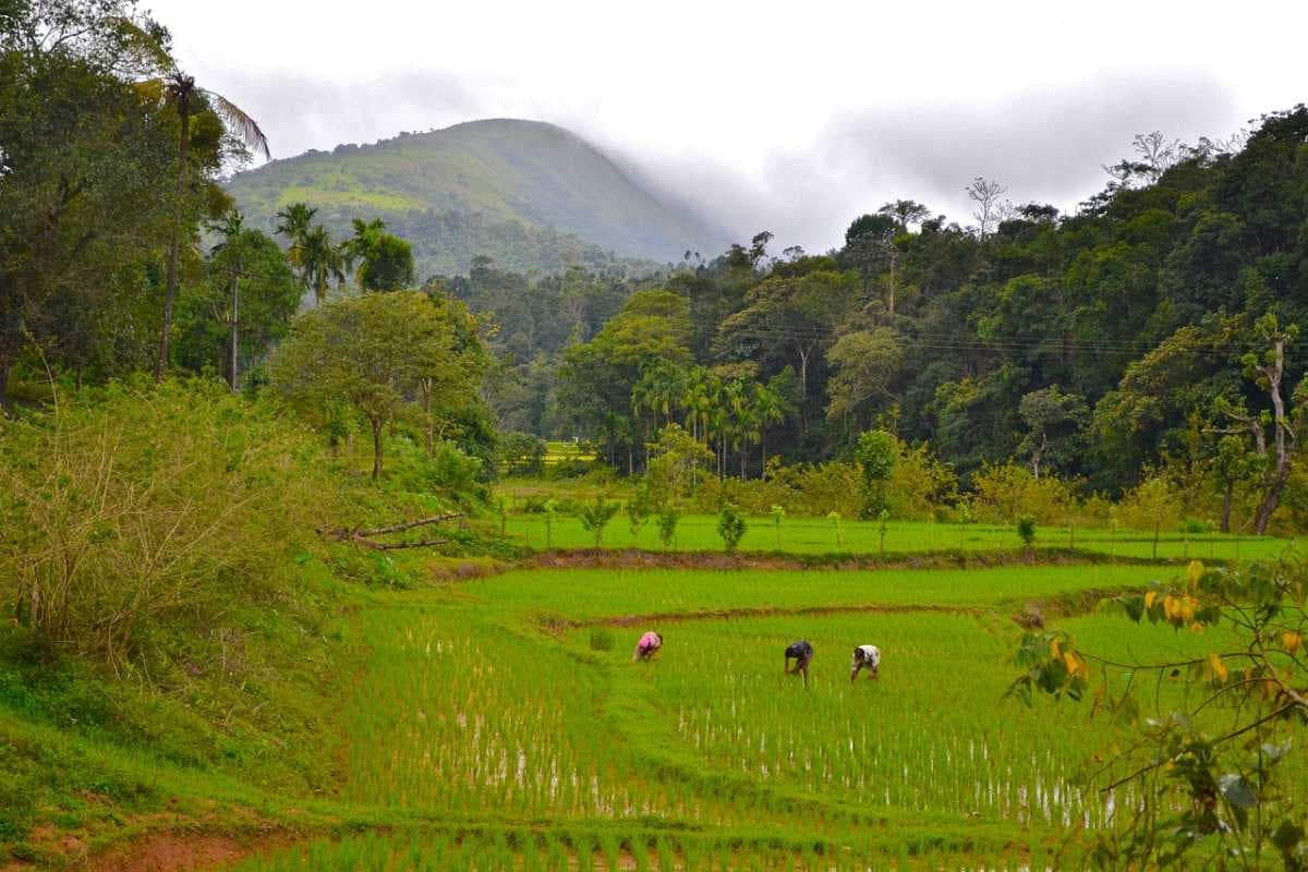 Morigaon - Historical Village Near Guwahati