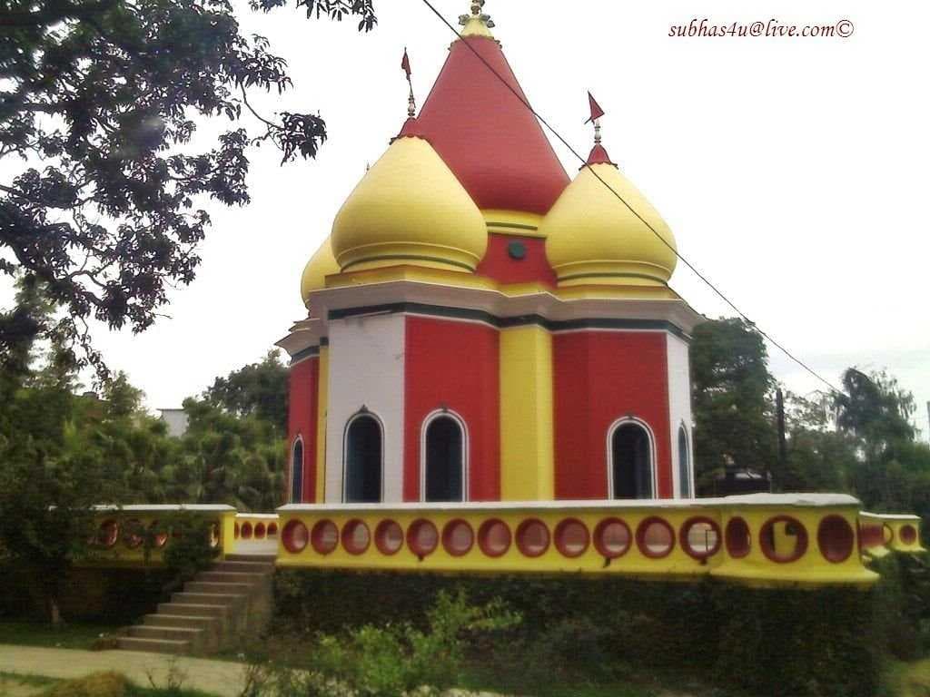 Rani Tal