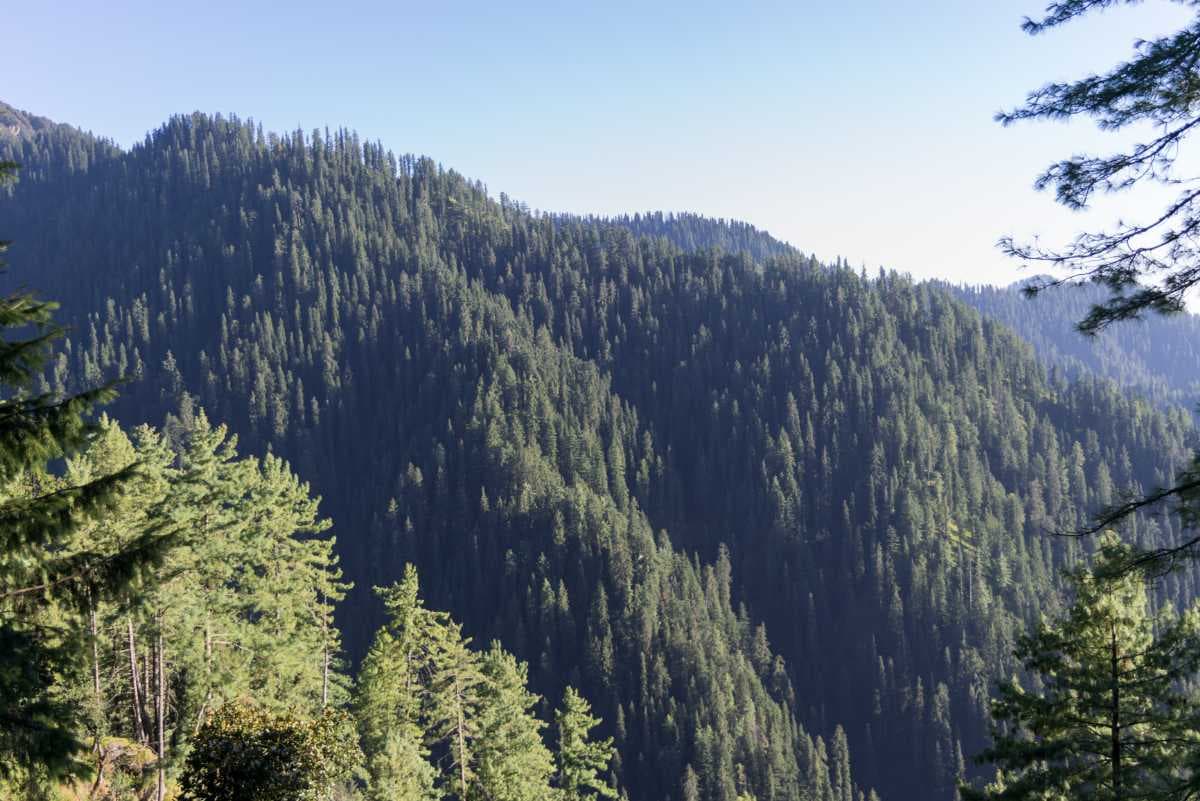 Narkanda travel image