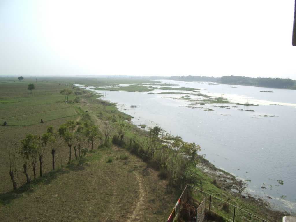 Purbasthali Bird Sanctuary