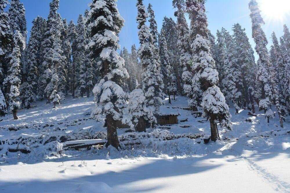 Pahalgam travel image