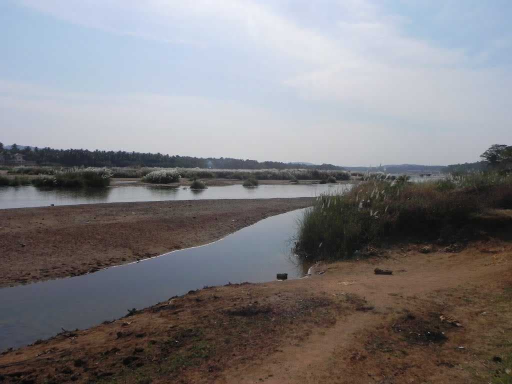 Ottapalam
