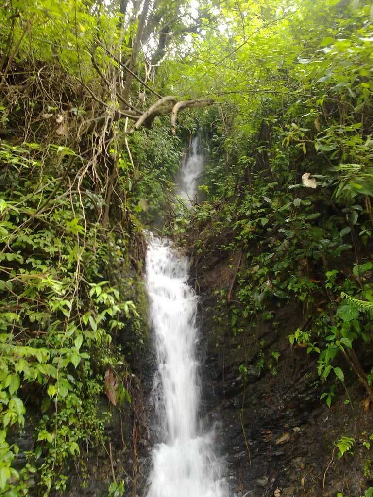 Phek Waterfall