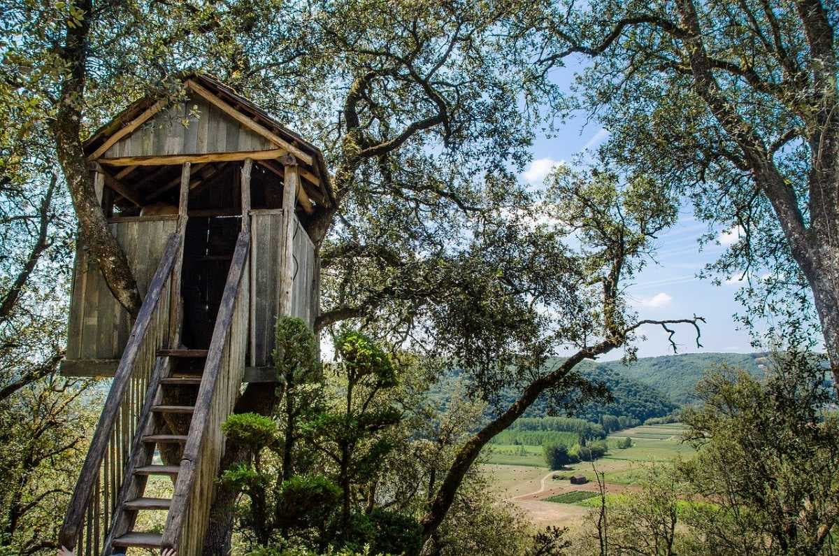 Treehouses in Pilibhit