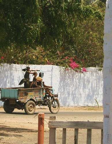 PORBANDAR LOKAL TARNSPORT SARIVCE THRI VAHILAR RIXA VITH FAMILY PHTO BAY RAJU ODEDRA . . . Mo 99744 86087