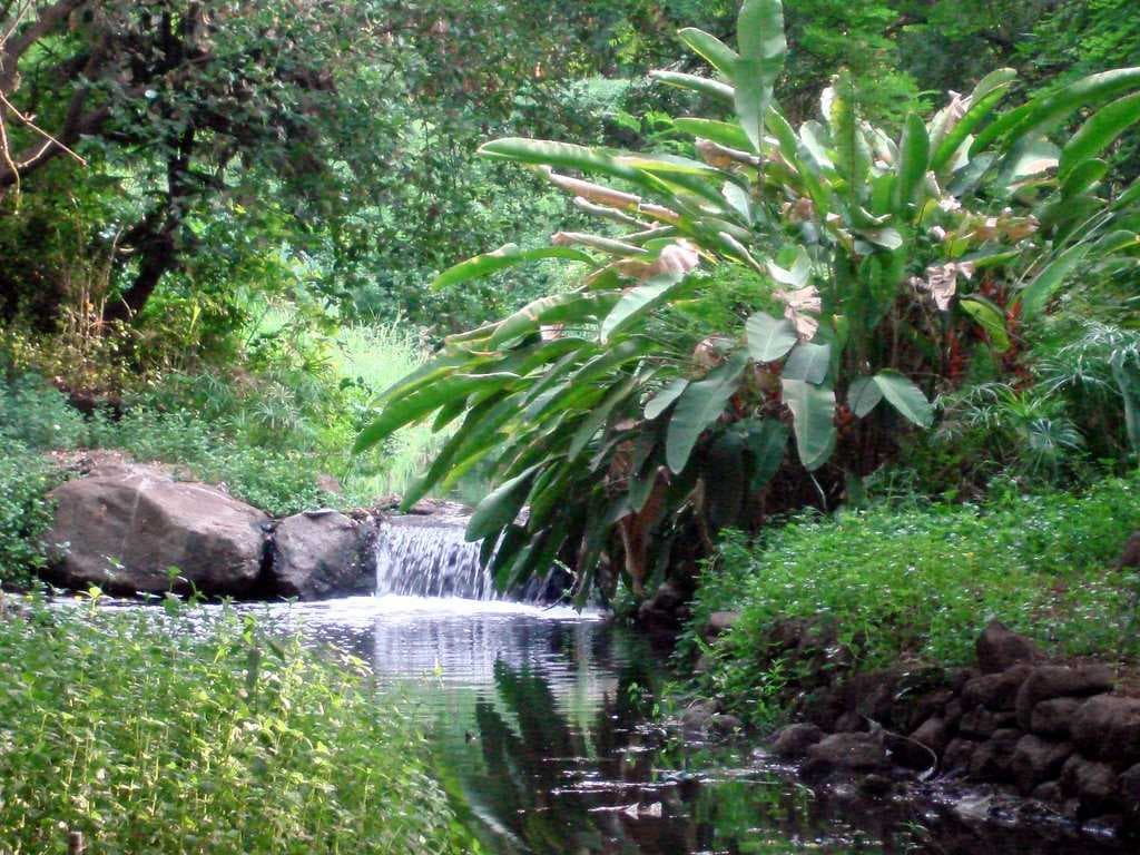 Osho International Meditation Resort in Pune