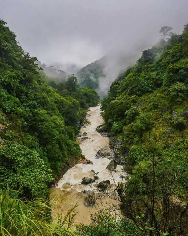 Misty Morning View of Marenahalli Village in Sakleshpur