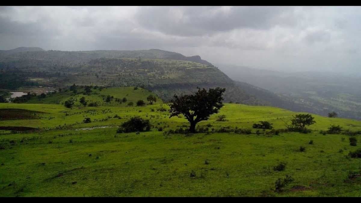 Saputara
