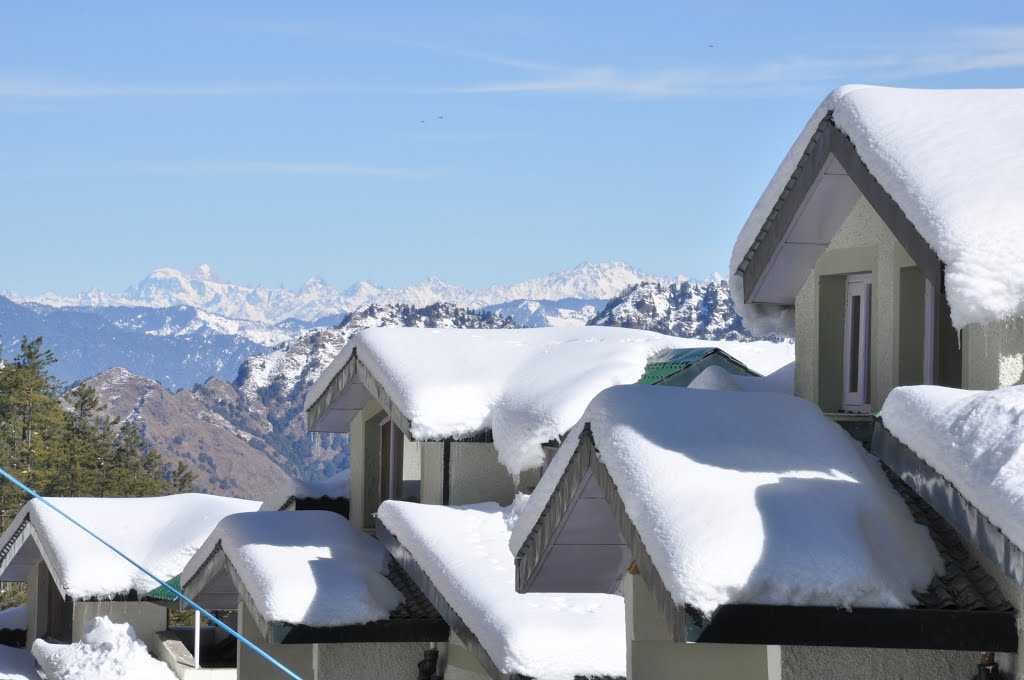 Shimla