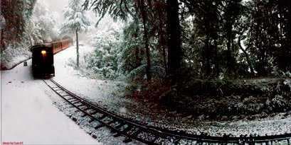 Toy Train to Kalka