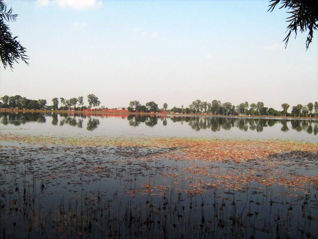 Sibsagar Lake