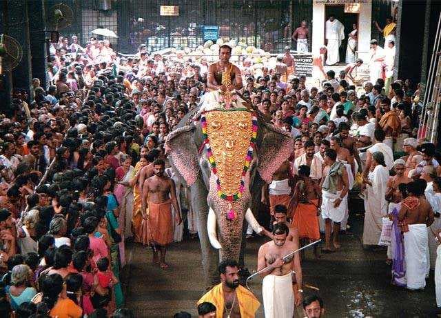 Elephant Parade During Rathotsava, Kukke Subramanya Temple