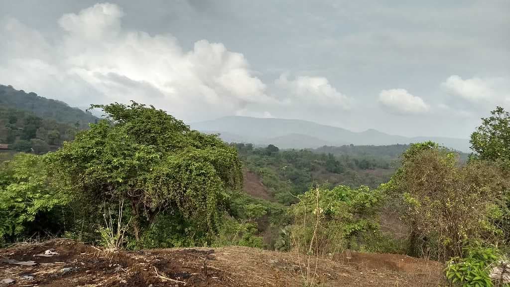Yeoor hills