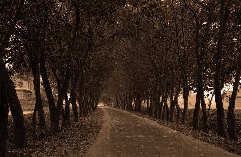 ROAD TO NOWHERE