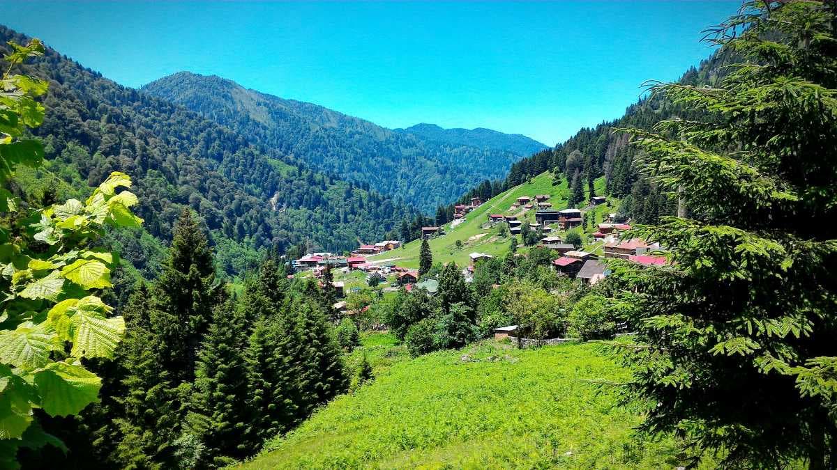 Magnificent View of Tirap Village