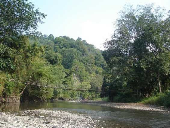 Tirap