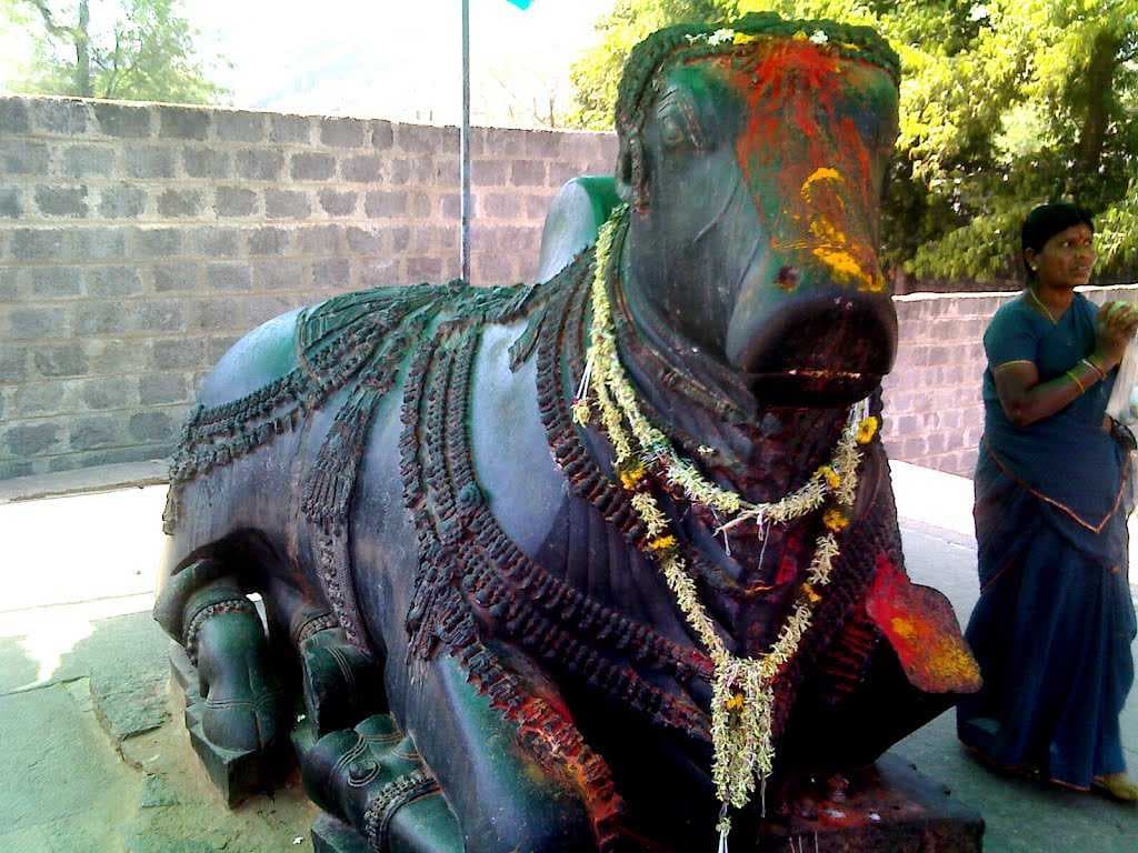 Warangal travel image