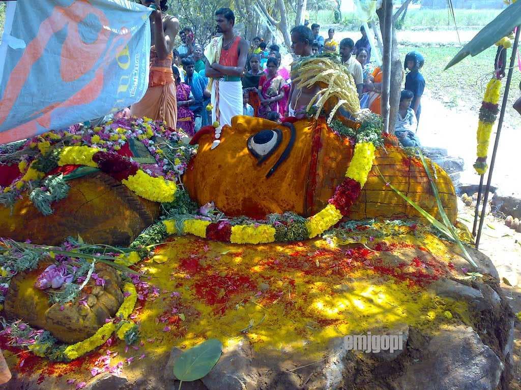 Yercaud travel image