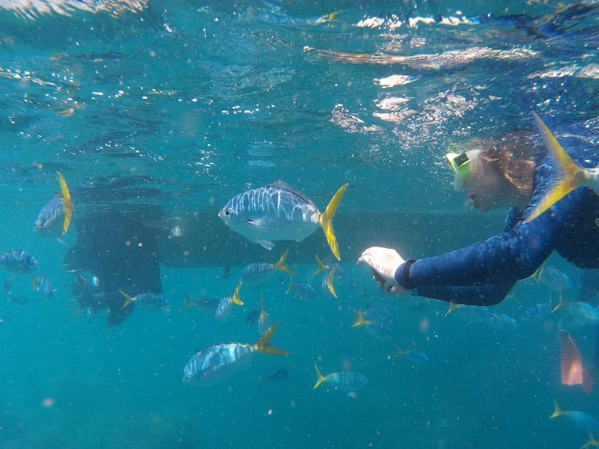 Snorkelling Activity in Batam Islands