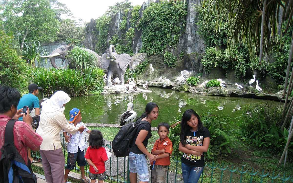 Ragunan Zoo - One of the Most Popular Attractions