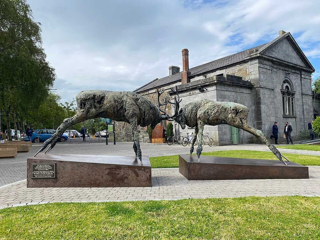 Killarney travel image