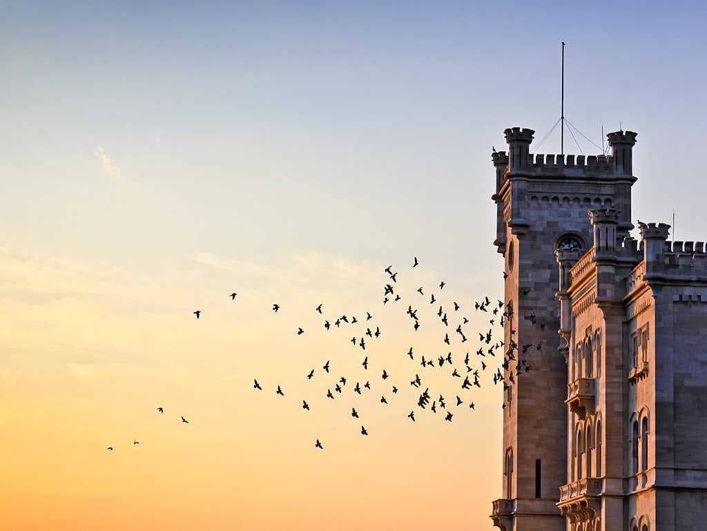 Trieste travel image