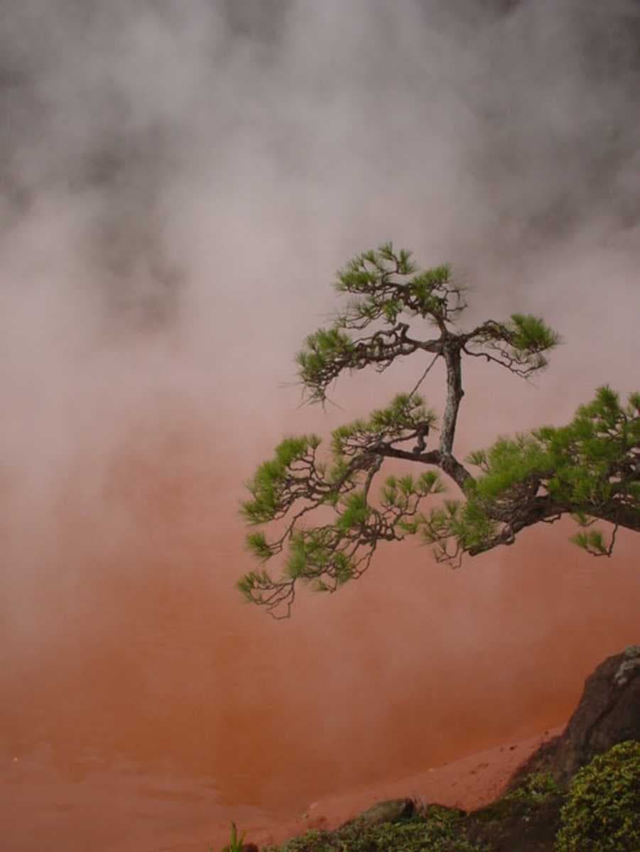 Beppu