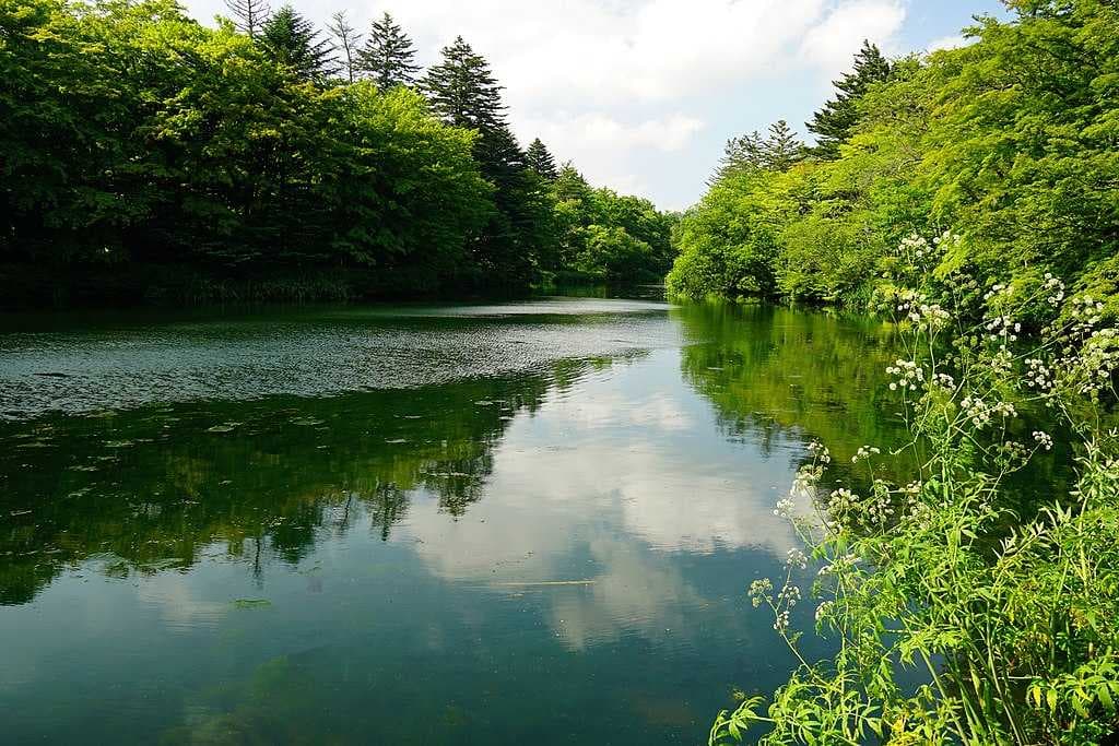 Kumoba Pond