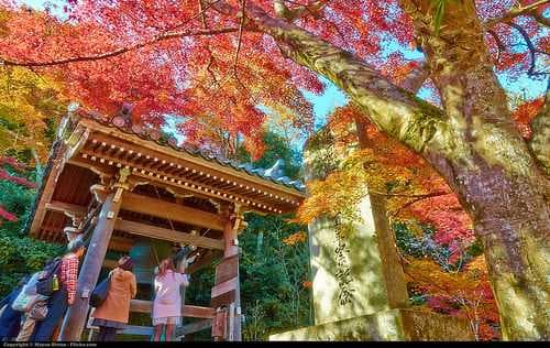 Kyoto