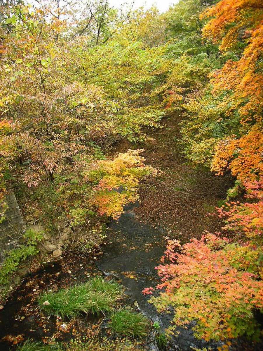 Saikachi Gawa
