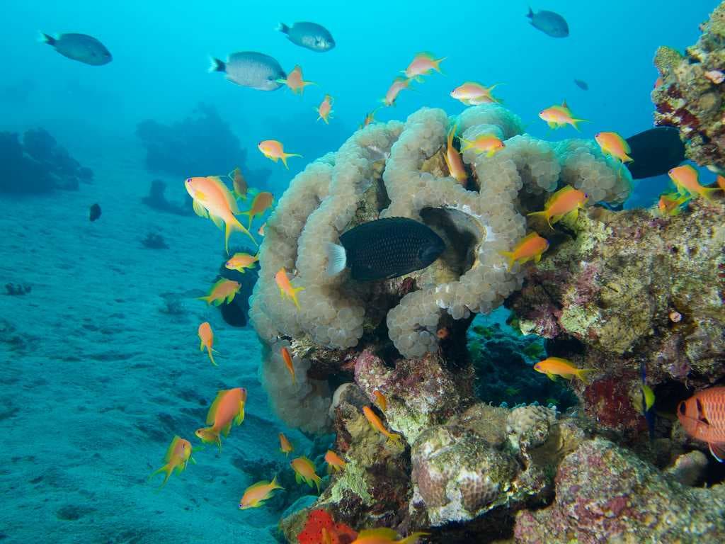 Aqaba, Jordan