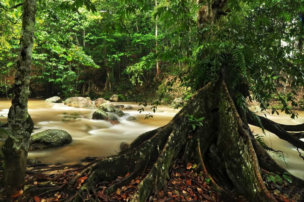 Lata Lembik Waterfalls in Raub
