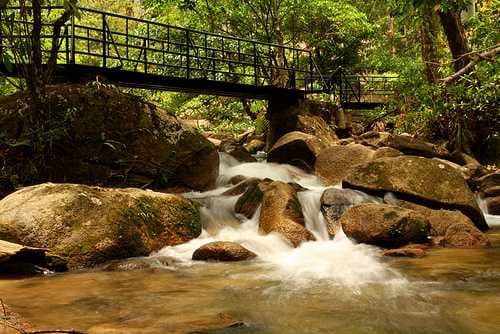 Raub