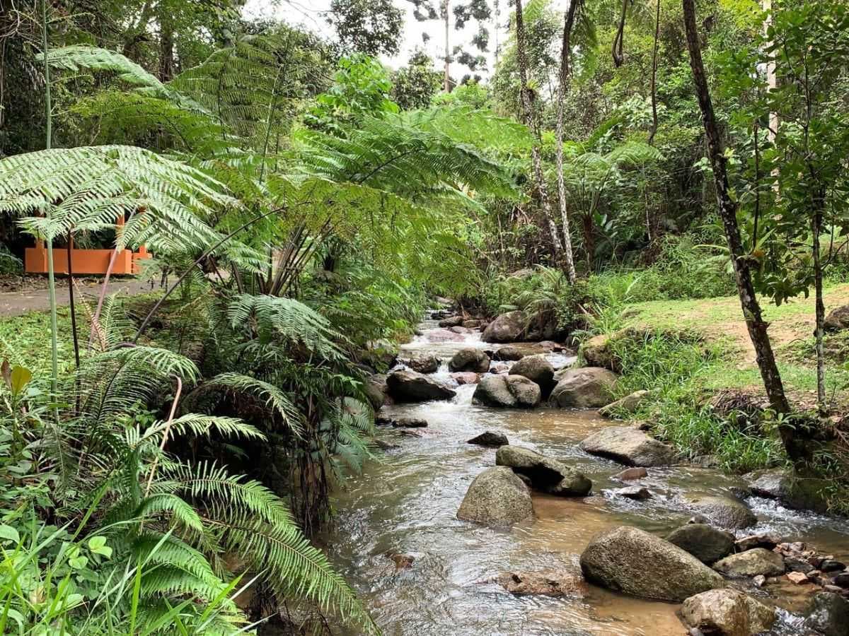 Jeriau Waterfall