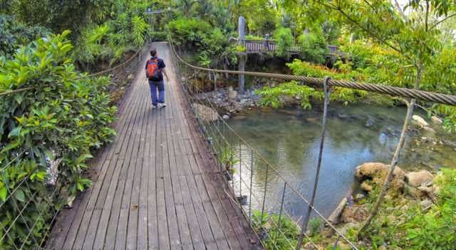 Canopy walk inside Bukit Gemok