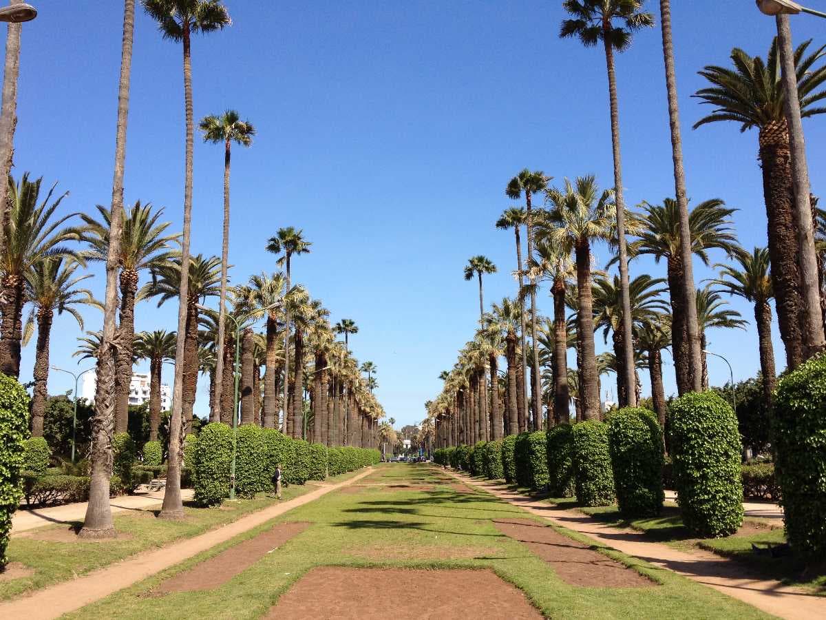A beautiful picture of Parc de la Ligue Arabe