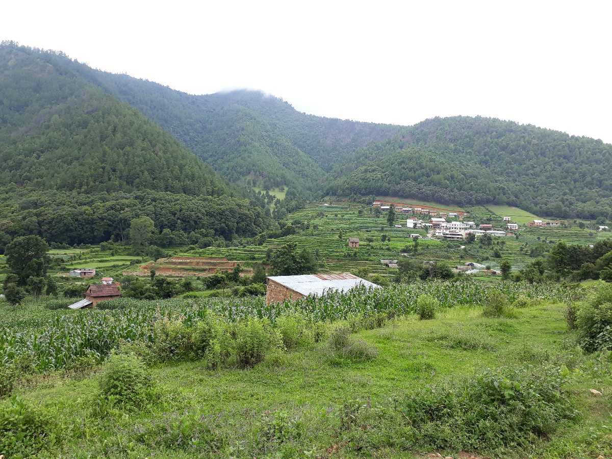 Chitlang