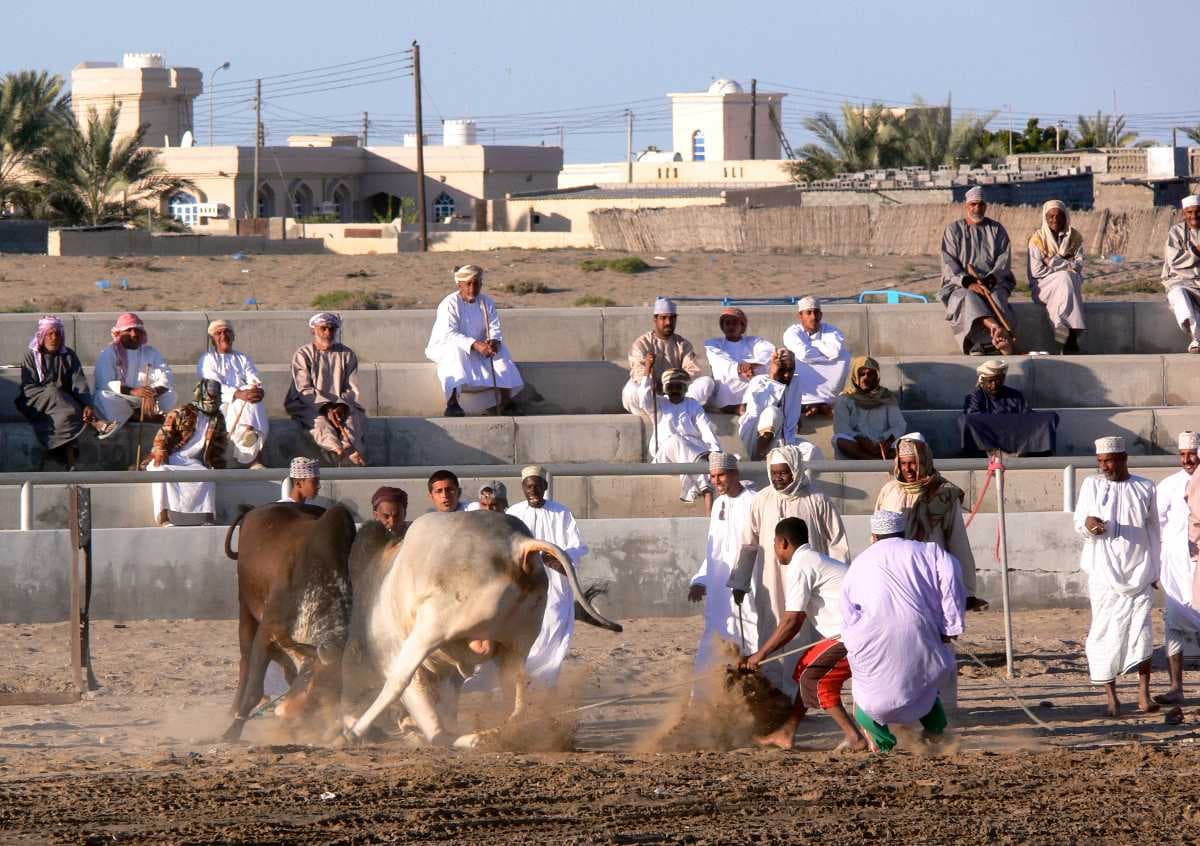Barka