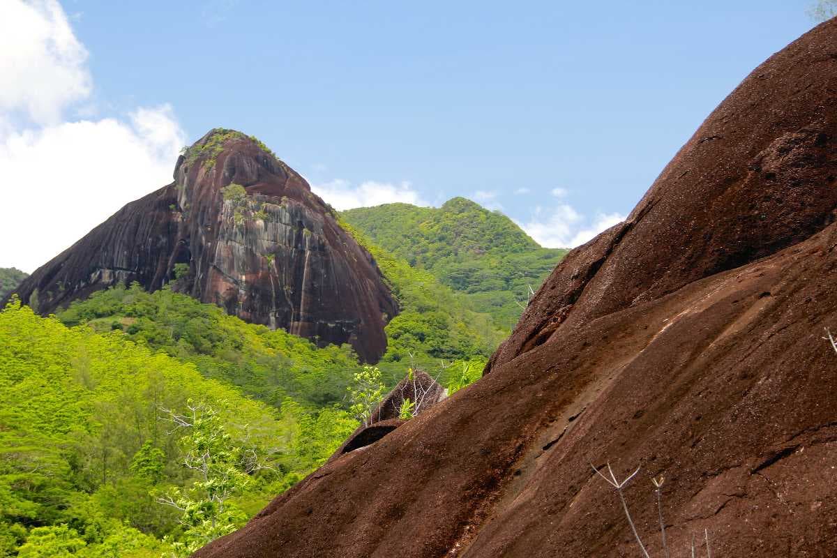 Valle de Mai Natural Reserve - A UNESCO World Heritage Site