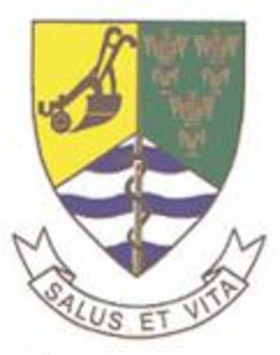Bela