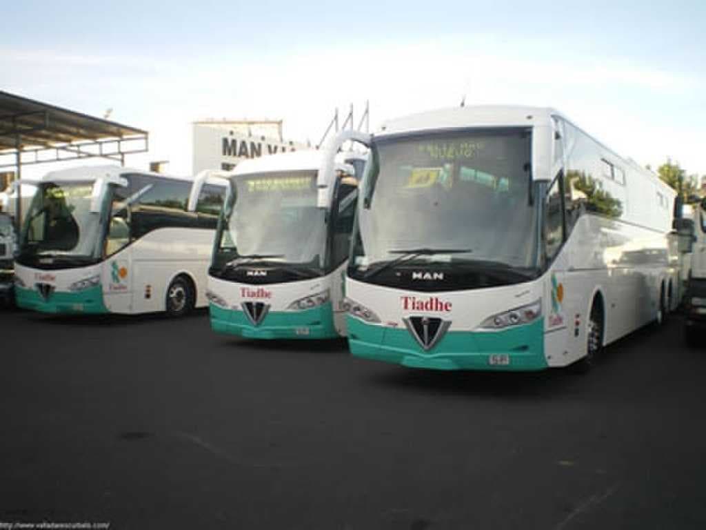 Tiadhe bus service. The main bus service of Fuerteventura