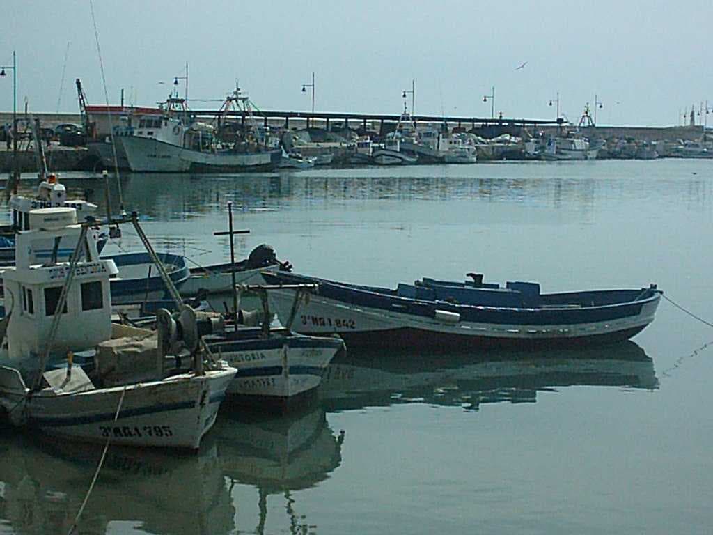 Estepona travel image