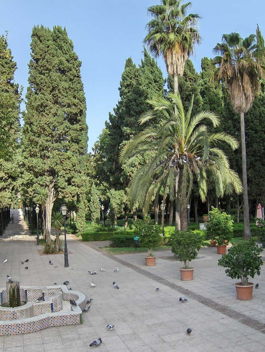 Constitution Park