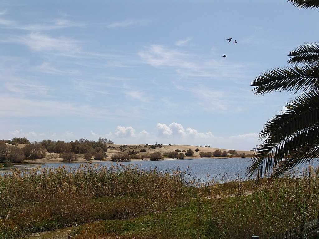 Maspalomas travel image