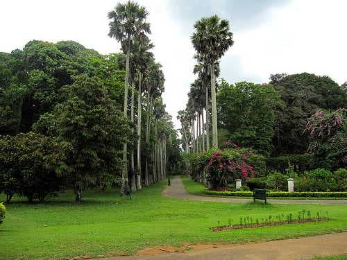Kandy travel image