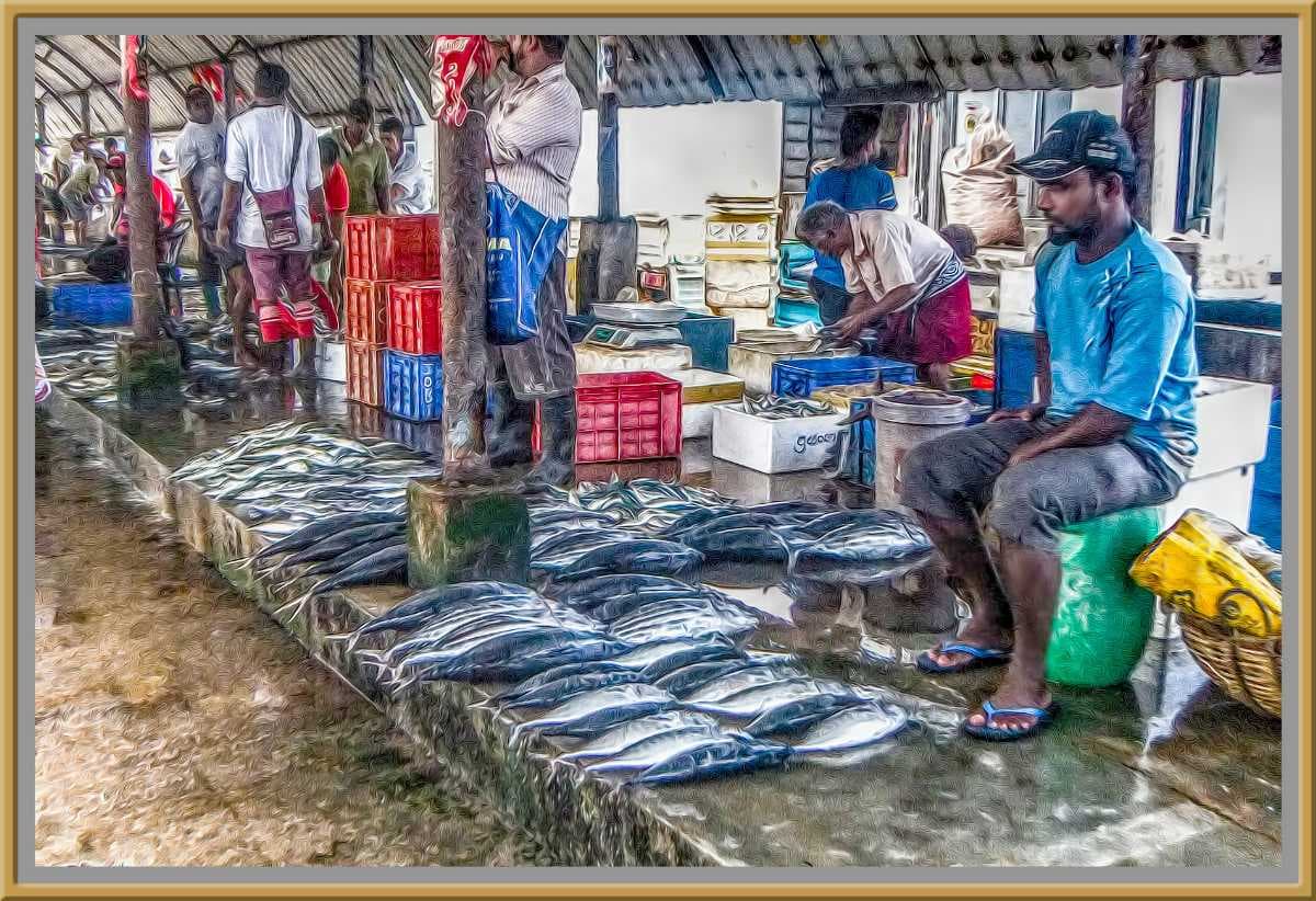 Negombo Fish Market