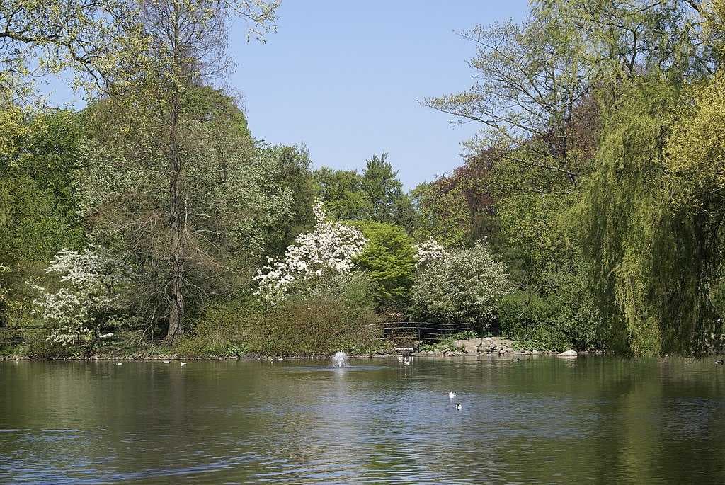 The pond in Stadsparken.