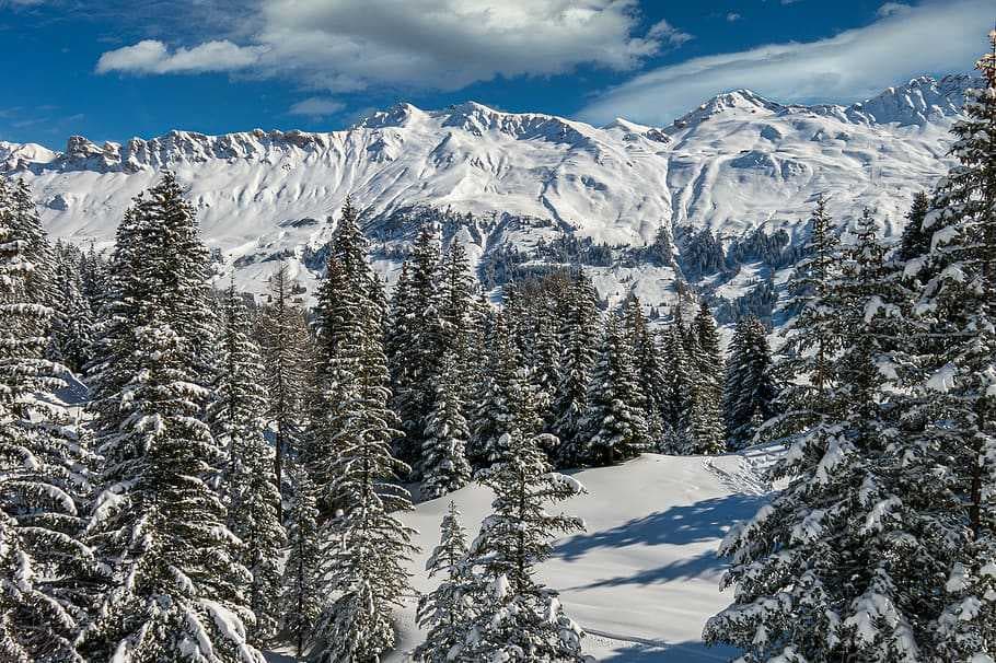 Switzerland travel image