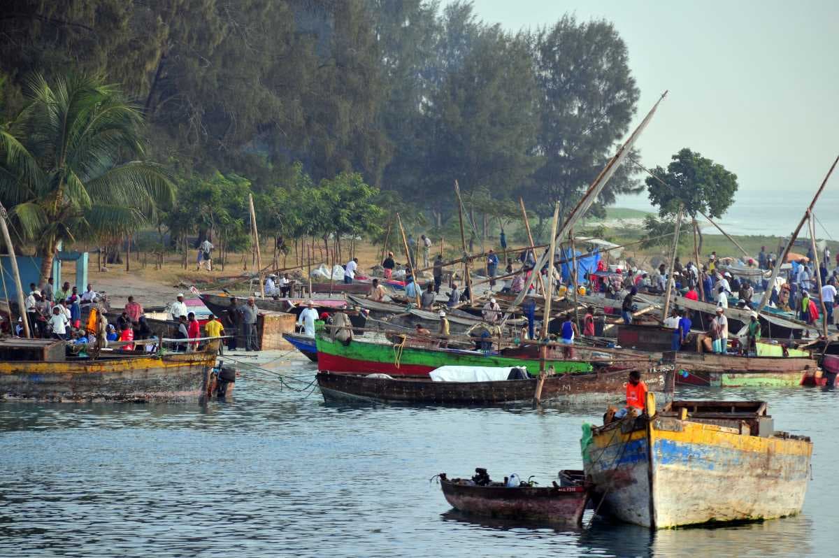 Kivukoni Fish Market